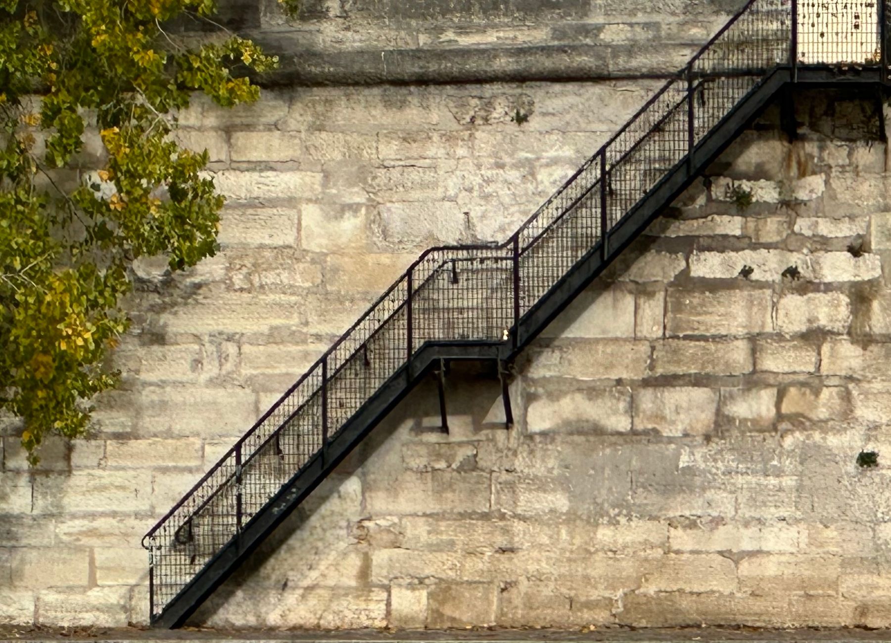 Maîtrisez les techniques de composition photographique pour captiver vos abonnés