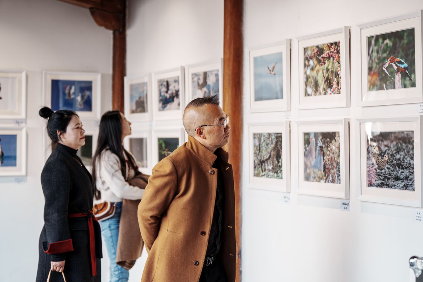 Visiteurs observant des photographies encadrées accrochées sur un mur de galerie