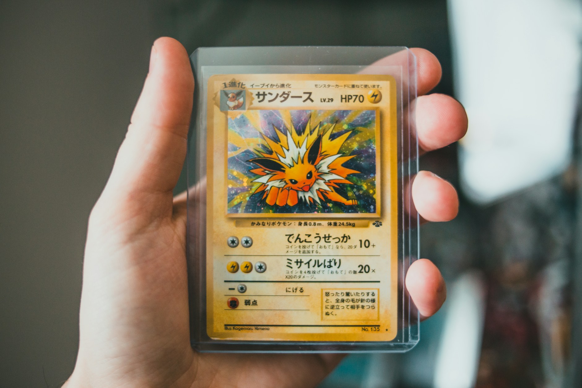 main tenant une carte Pokémon japonaise holographique de Voltali, série Jungle, glissée dans un étui rigide transparent