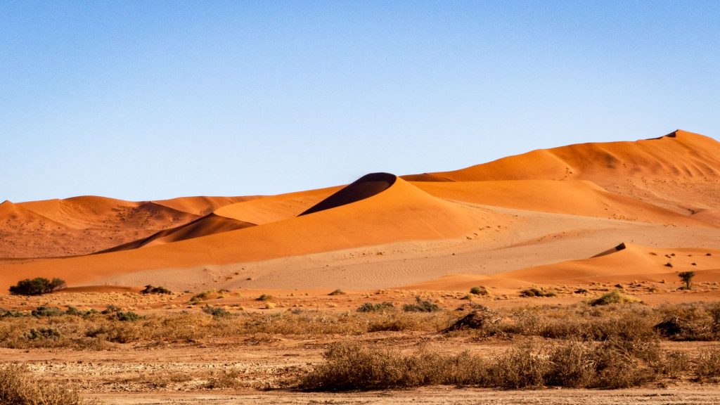 Quelle est la meilleure période pour visiter la Namibie ?