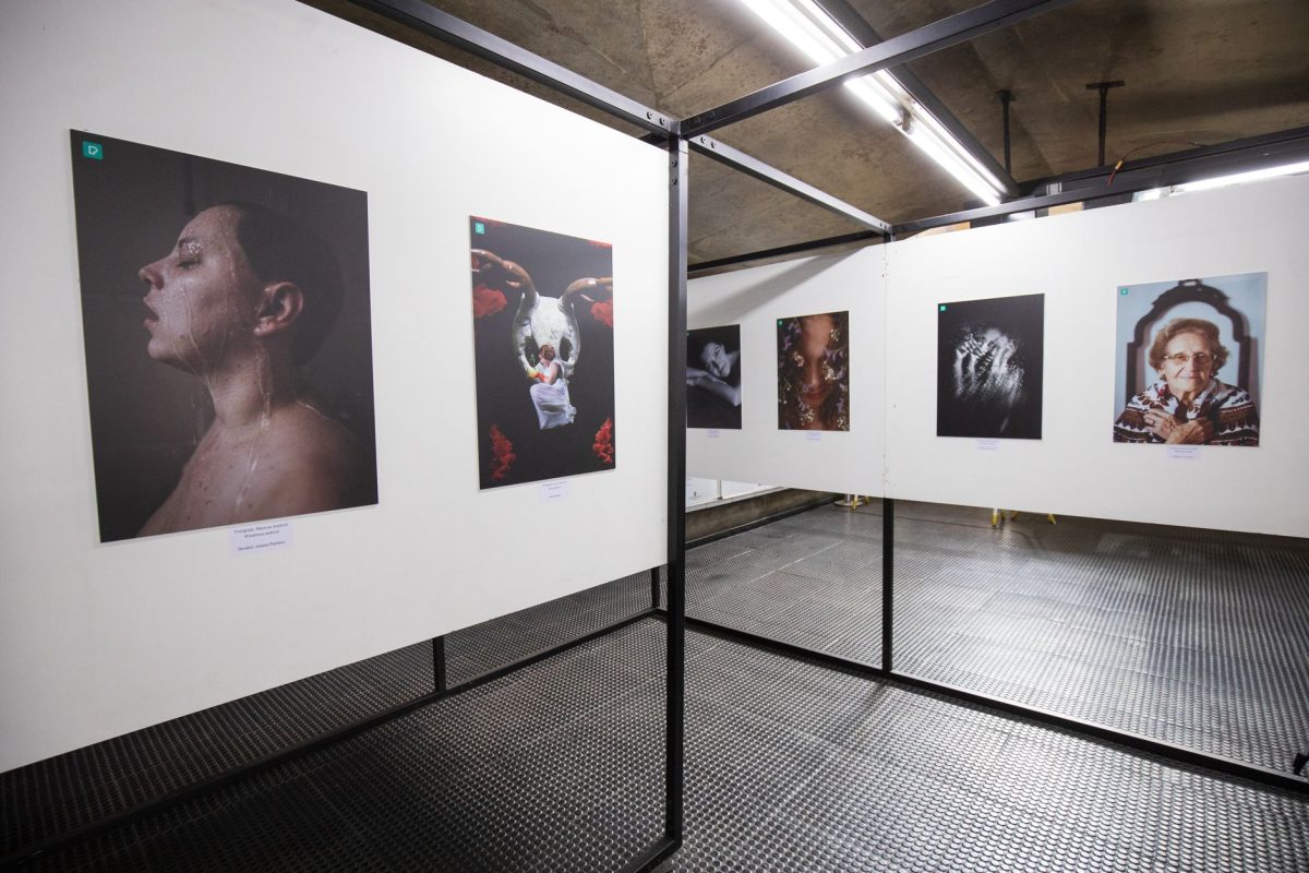 Plongée dans l&rsquo;univers captivant de Camille Vivier : une exposition à ne pas manquer