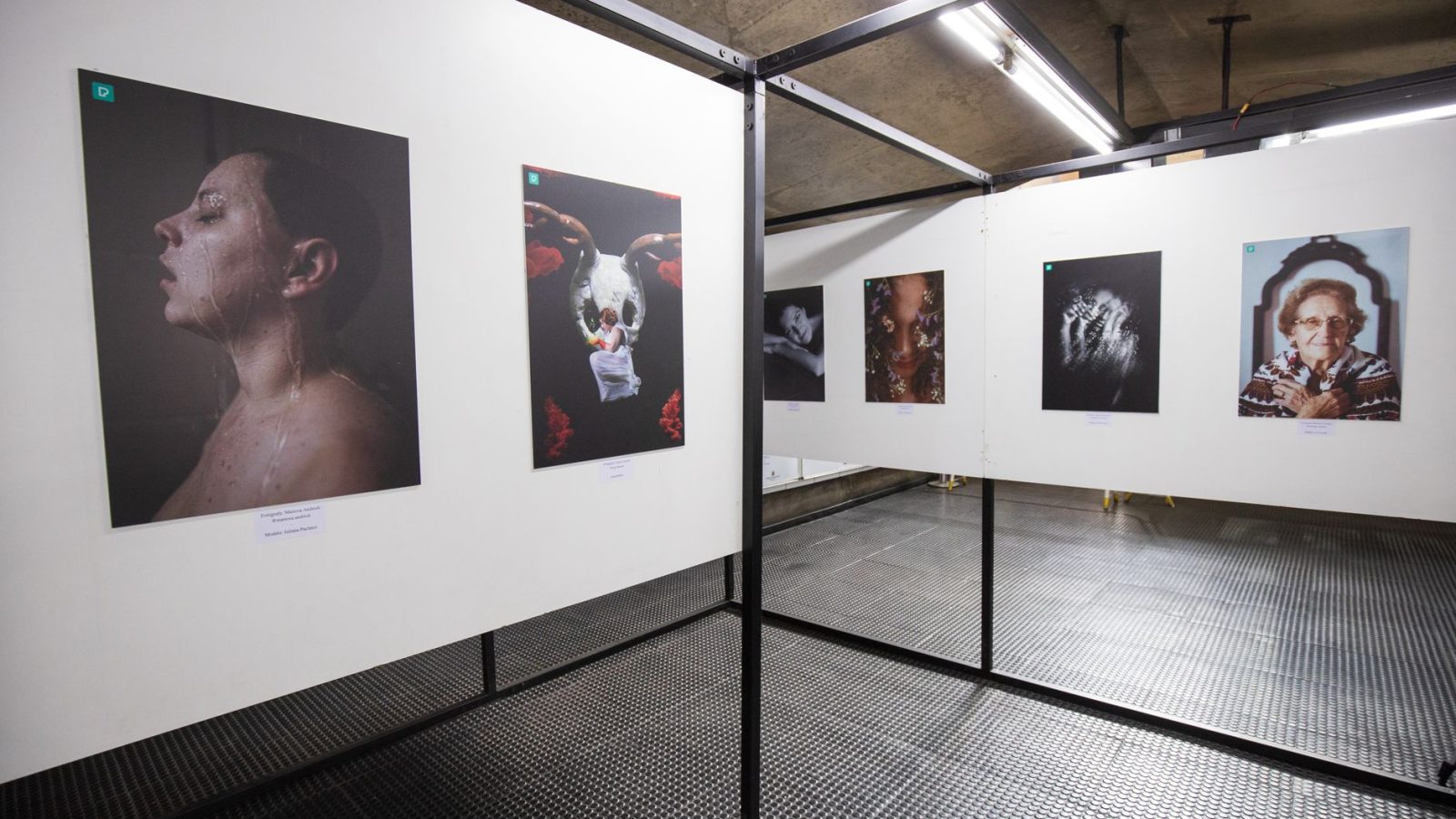 Plongée dans l&rsquo;univers captivant de Camille Vivier : une exposition à ne pas manquer