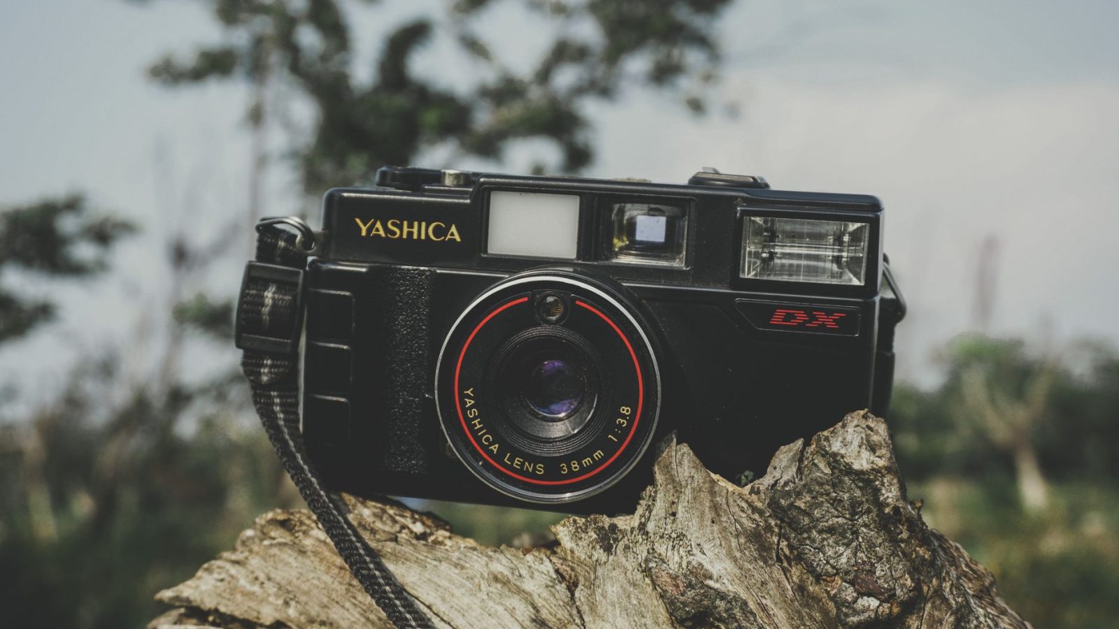 Nikon Z5 II C : la révolution pour les photographes voyageurs ?