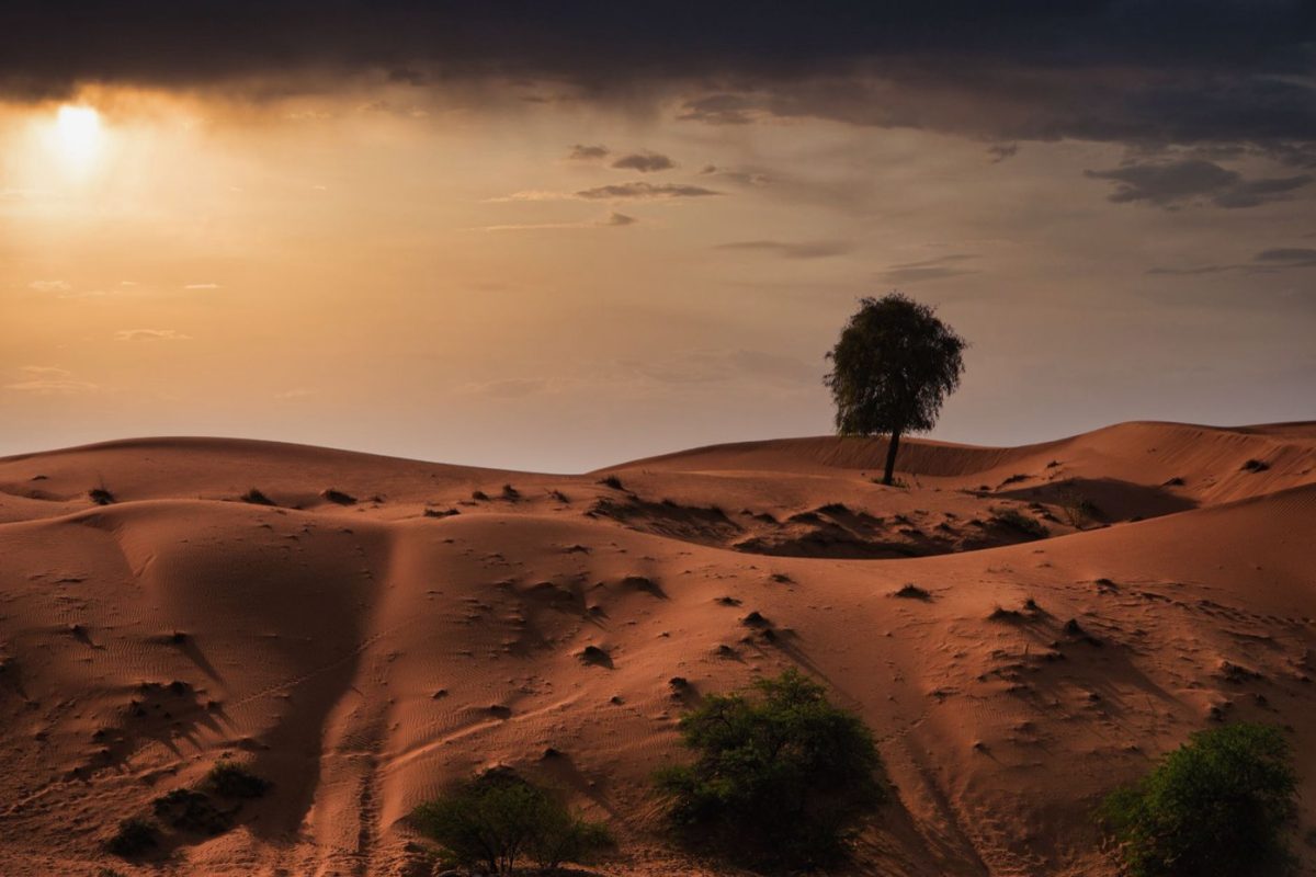 Voyage photo Namibie : sites clés et conseils pratiques