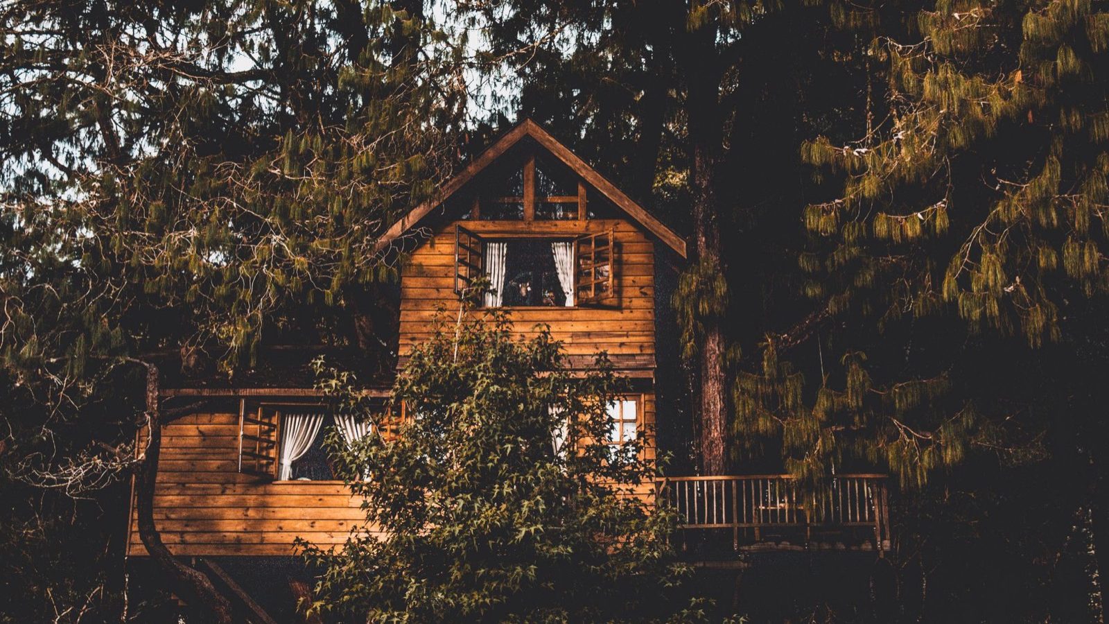 Cabane perchée en Dordogne : le repaire photo idéal