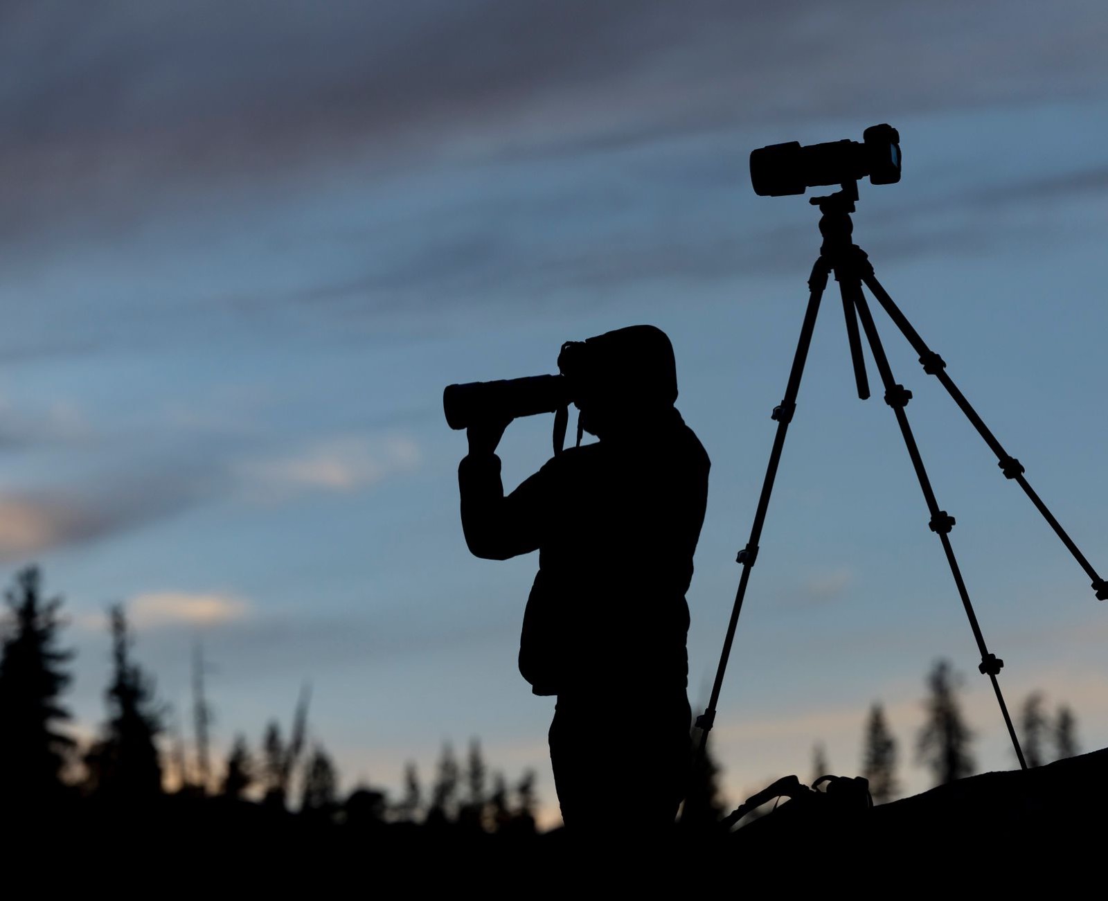 Trépied installé en forêt face au coucher de soleil