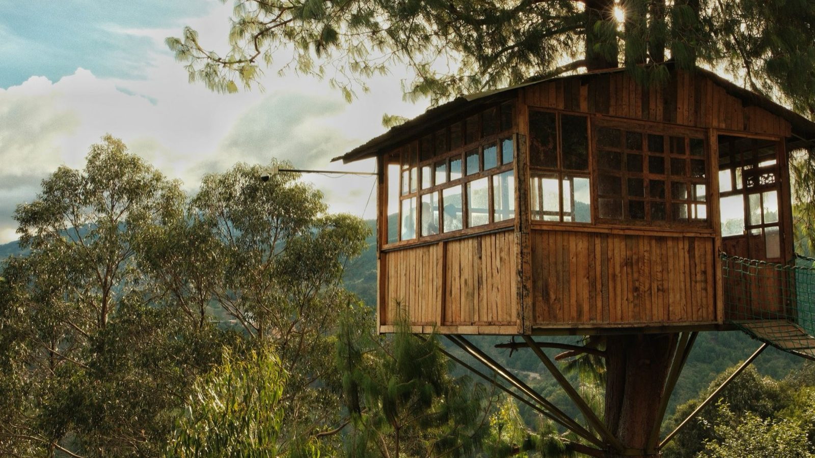 Cabane perchée en Gironde : dormir dans les pins pour photographier la