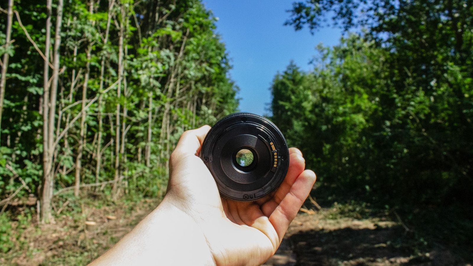 Comment le Sigma 16-300 mm pour Nikon Z révolutionne-t-il votre photographie en voyage ?