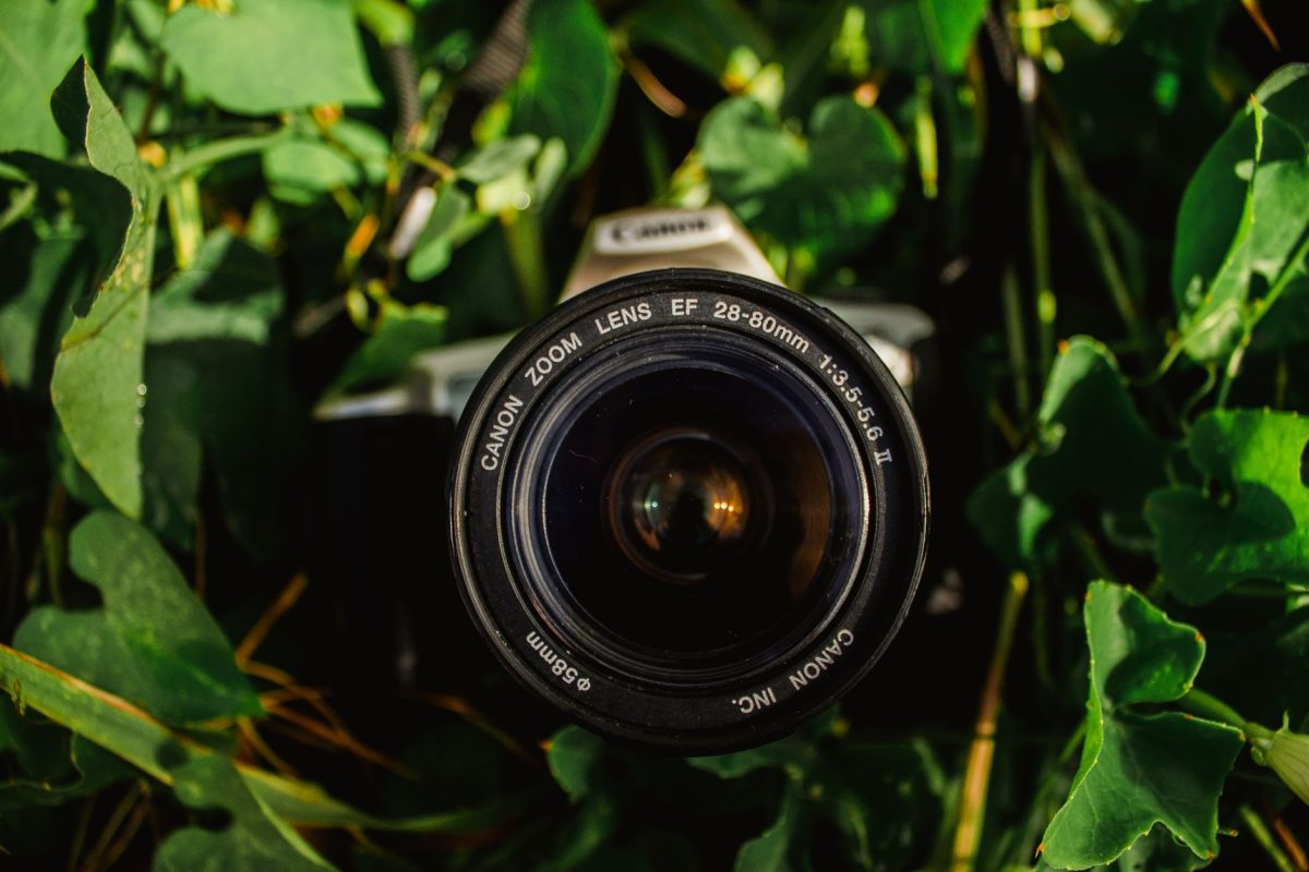 Le Tamron 20-40 mm f/2,8 : Un objectif qui allège votre équipement photo sans compromis