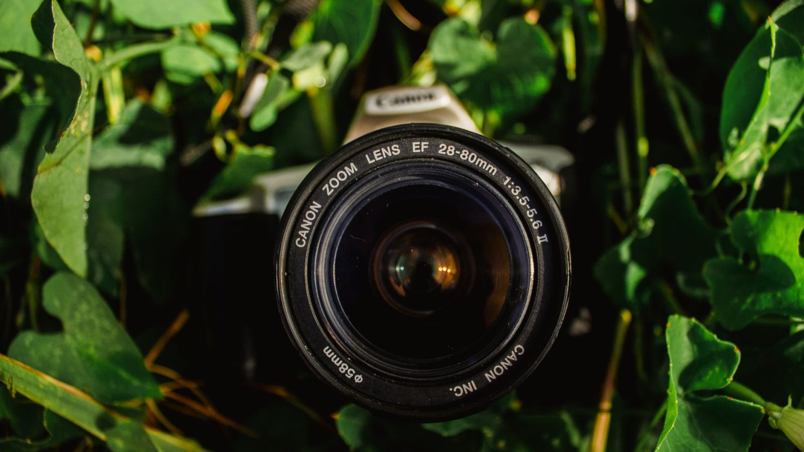 Le Tamron 20-40 mm f/2,8 : Un objectif qui allège votre équipement photo sans compromis