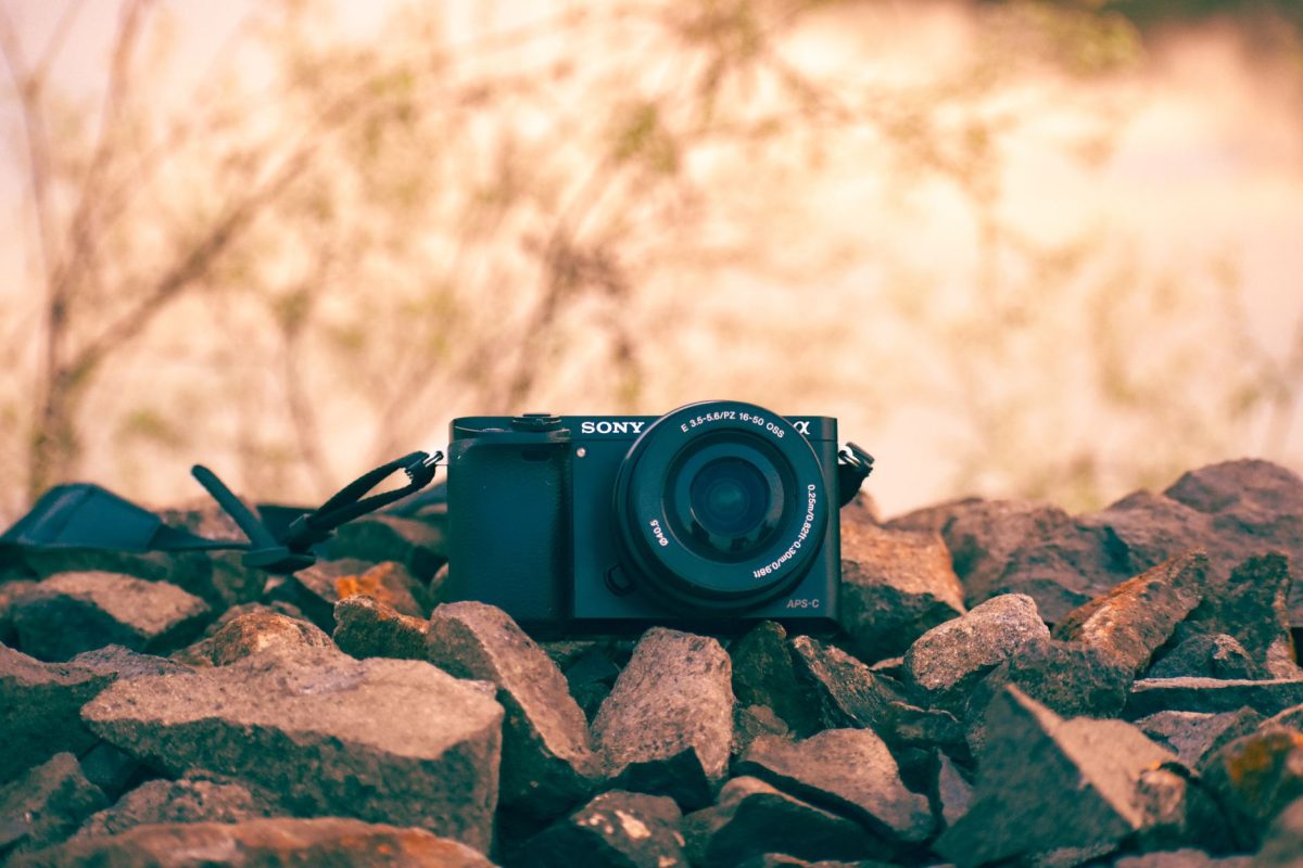Révolution photographique : comment le Tamron 16-50 mm f/2,8 A change la donne en voyage