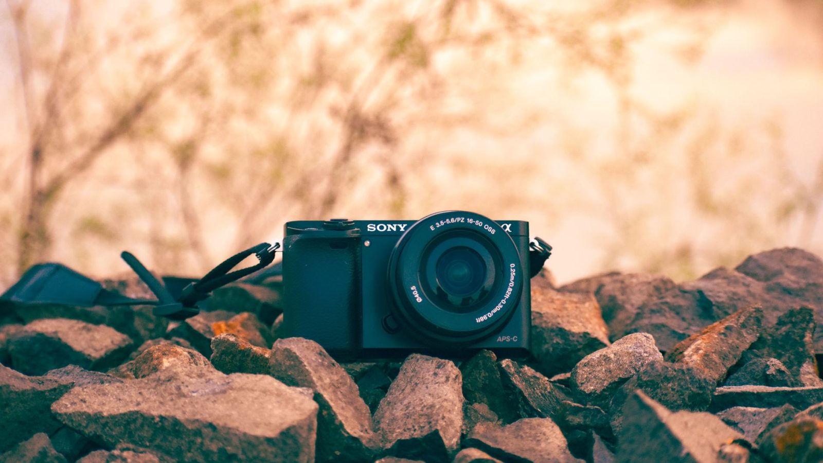 Révolution photographique : comment le Tamron 16-50 mm f/2,8 A change la donne en voyage