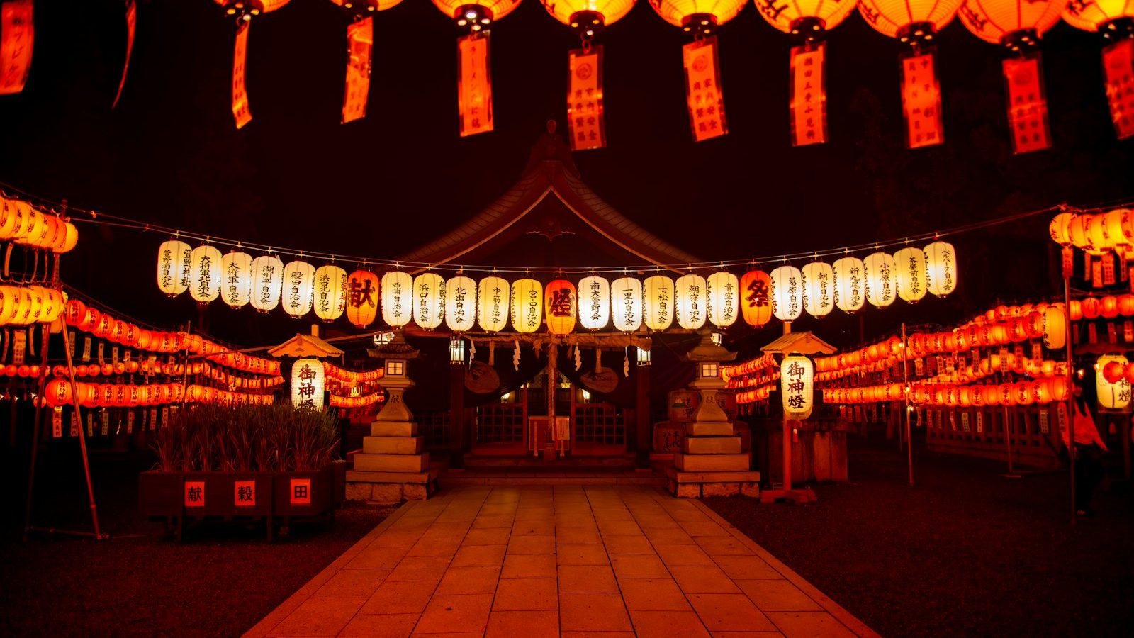 Zone i : Pourquoi ce festival est un incontournable pour les photographes ?