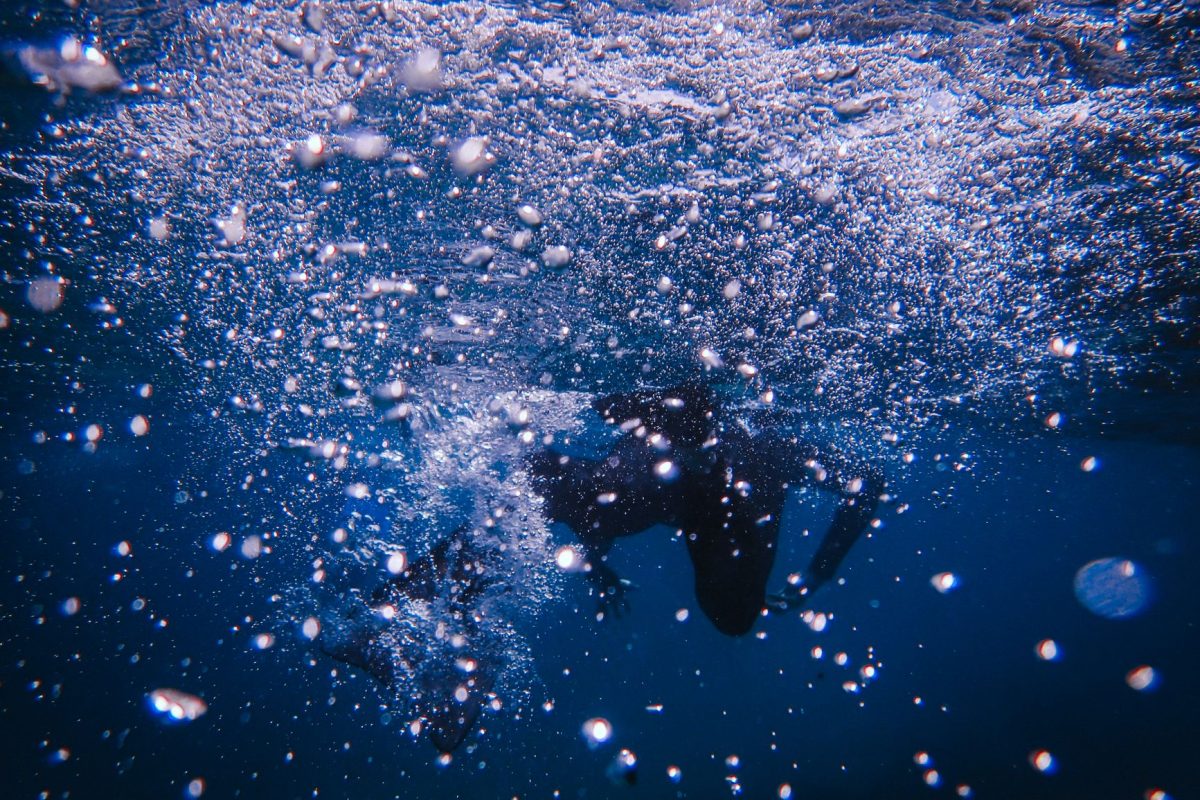 Maîtrisez la photographie sous-marine : techniques et astuces incontournables